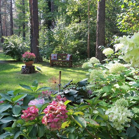 Kastavengrund - Ferienhaeuser Mit Kamin Lychen Exteriér fotografie