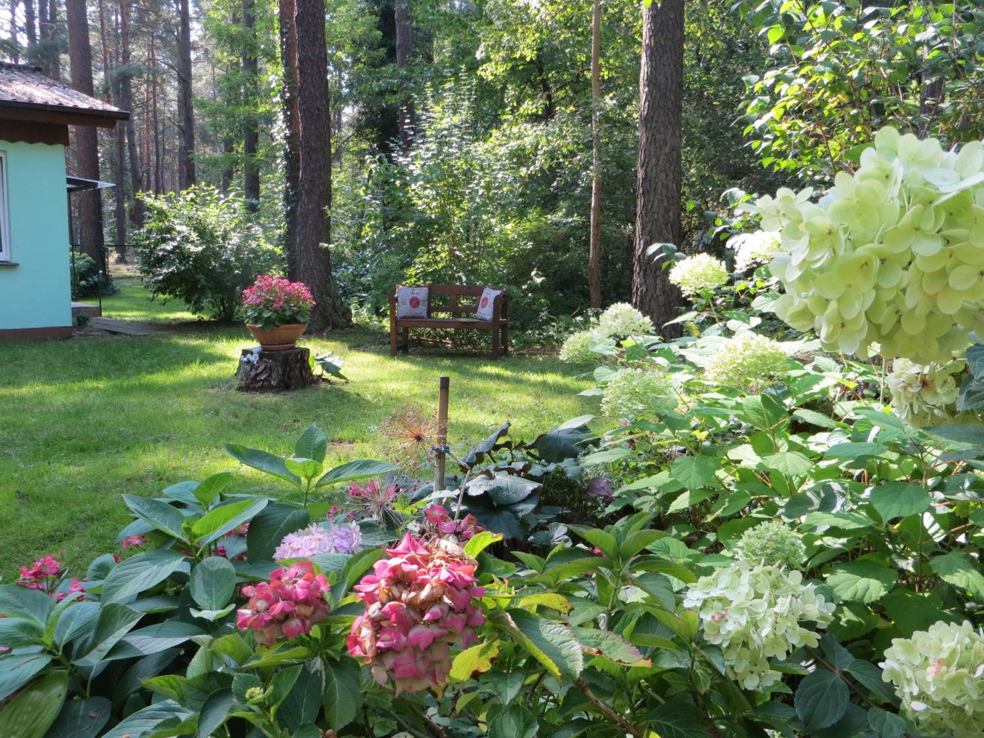 Kastavengrund - Ferienhaeuser Mit Kamin Lychen Exteriér fotografie
