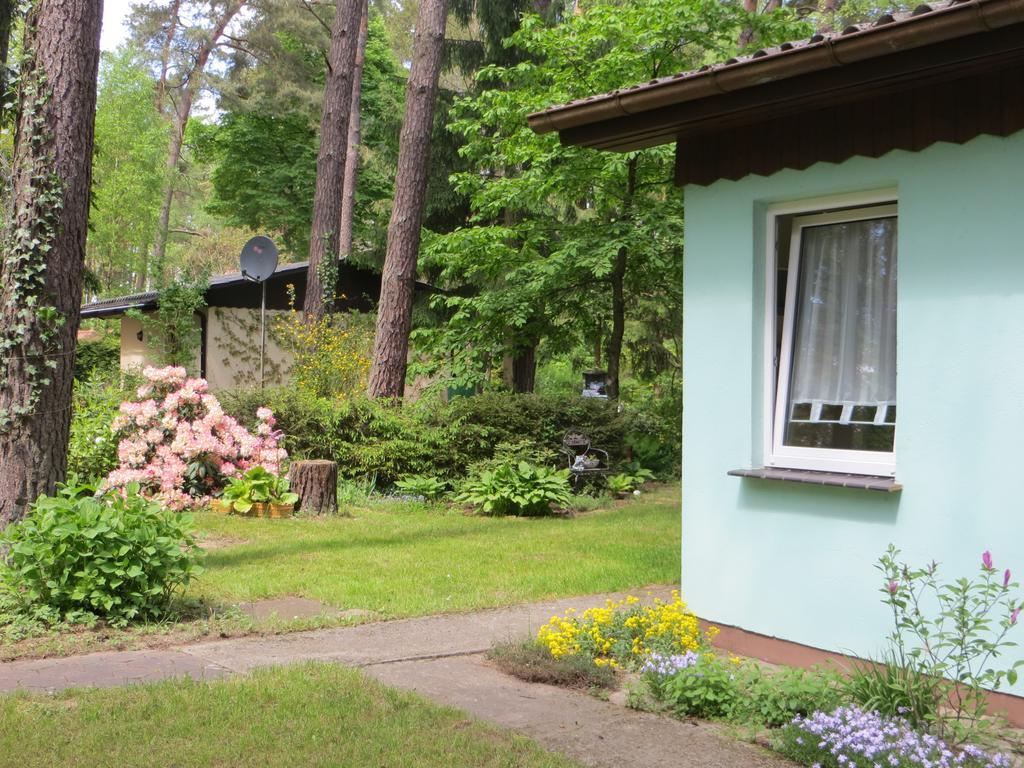 Kastavengrund - Ferienhaeuser Mit Kamin Lychen Exteriér fotografie